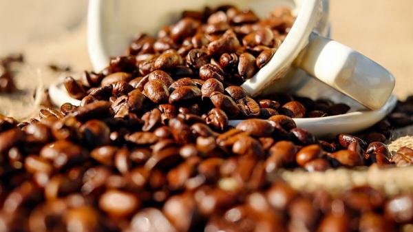 إدخال 75 طن قهوة غير صالحة للاستهلاك إلى السوق الأردني