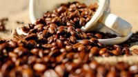 إدخال 75 طن قهوة غير صالحة للاستهلاك إلى السوق الأردني
