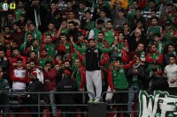 سلة الوحدات: التعويض بالدوري