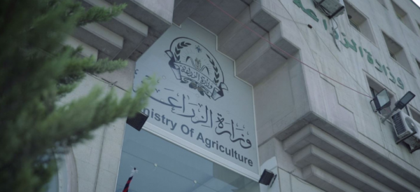منح الشهادات الزراعية الصادرة إلى عُمان من المركزي