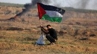 المنظمات الأهلية الفلسطينية تطالب بإجراء انتخابات المجالس المحلية