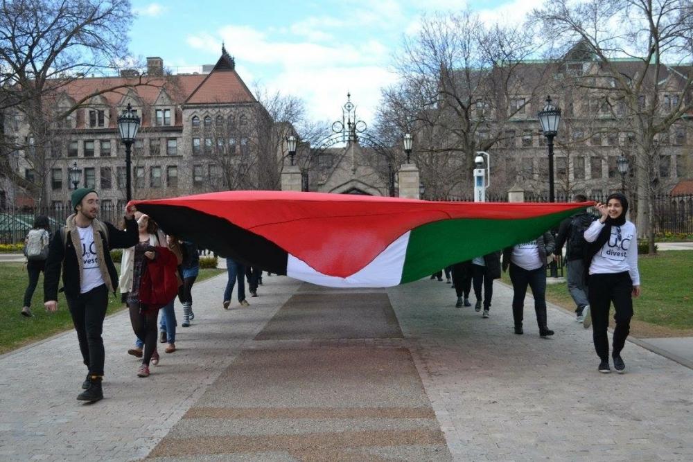 لتضامنها مع فلسطين..الممثلة العالمية إيما واتسون تفجر غضب الاحتلال