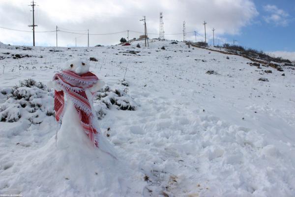 ما حقيقة العاصفة الثلجية المتوقعة نهاية الأسبوع؟
