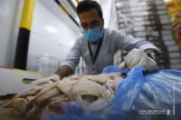 المفرق: ضبط 7 أطنان من اللحوم والمواد الغذائية منتهية الصلاحية