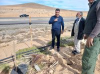 الحنيفات: لا استخدام لمياه الشرب في زراعة الاشجار الحرجية (صور)