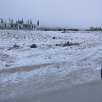 الإدارة المحلية تعلن الطوارئ القصوى في الجنوب