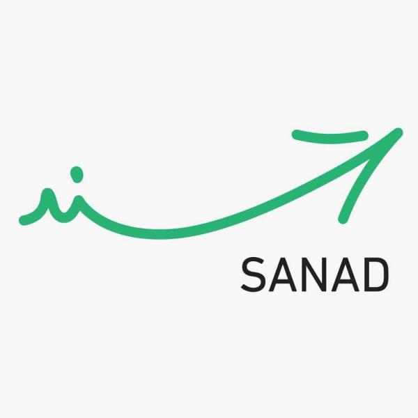 400 خدمة حكومية ستضاف للنسخة المحدثة من سند