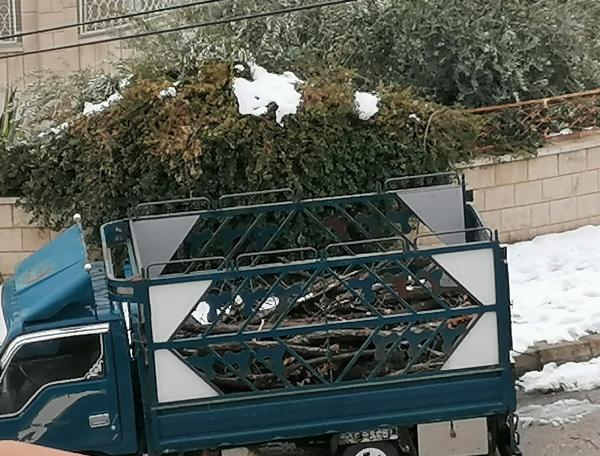 مواطنون يجمعون الاشجار المتقطعة في الطرق .. والزراعة تحذر