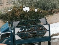 مواطنون يجمعون الاشجار المتقطعة في الطرق .. والزراعة تحذر