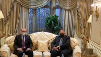 وزير الخارجية يبحث مع نظيره المصري أهمية تعزيز العمل العربي المشترك