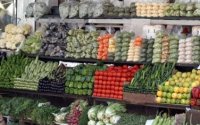 الصناعة والتجارة: الصقيع رفع أسعار بعض أصناف الخضار