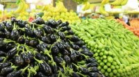 شكاوى من استمرار ارتفاع أسعار الخضار رغم تصريحات الحكومة