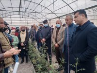 وزير الزراعة يتفقد عددا من المشروعات الزراعية الريادية في الطفيلة وبصيرا