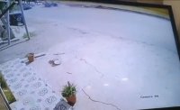 السير  تكشف سبب حادث الطرّة المروع