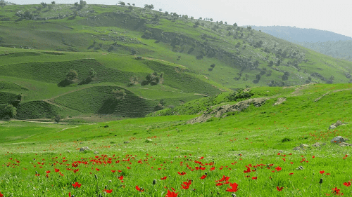 الاردن : فصل الربيع يبدأ غدا الأحد