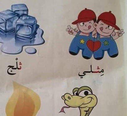 جدل واسع بسبب كلمة "مِثلي" في الاردن.. وطهبوب ترد على عويس - تفاصيل