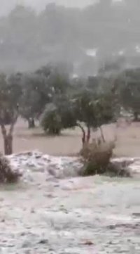 ثلوج الأردن: مشاهد لثلوج نادرة في أول أيام الربيع