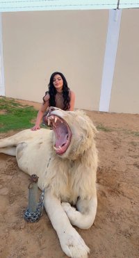 لارا العبداللات تلاعب النمور والاسود بدون اي خوف.. شاهد