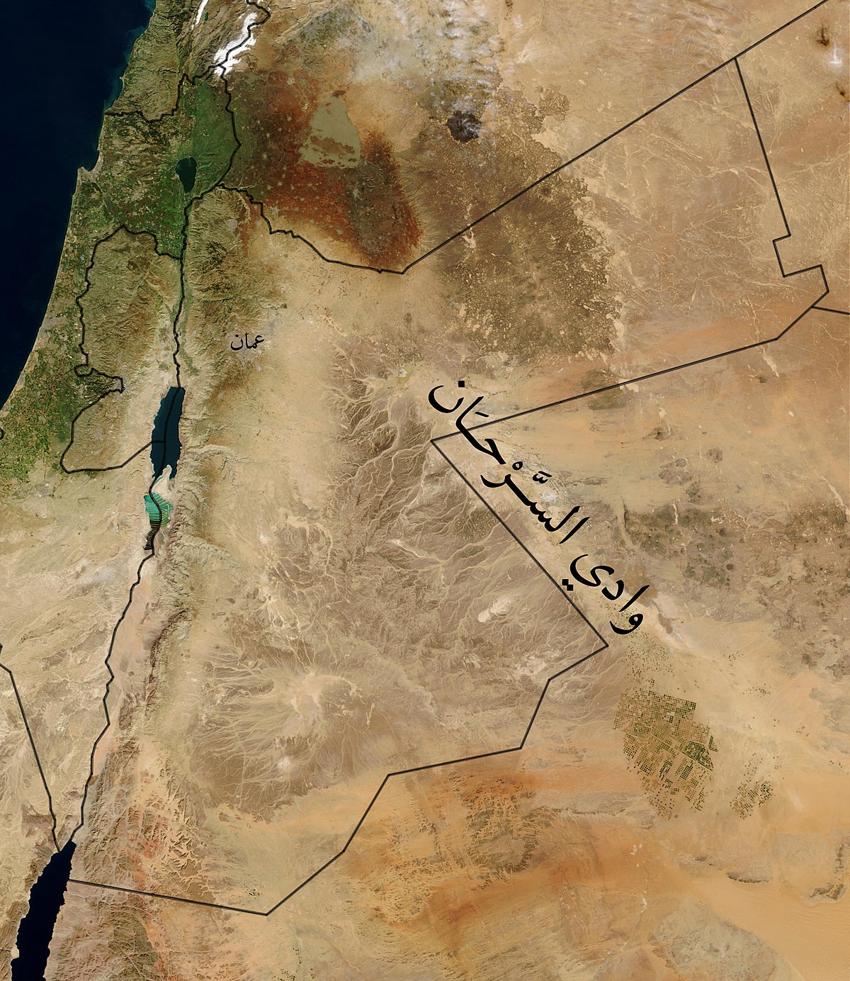 وزير الزراعة يعلن استثمارات توفر ألفي فرصة عمل