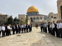 مستوطنون متطرفون يقتحمون الاقصى