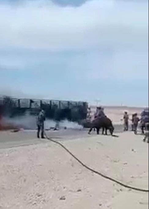 احتراق شاحنة محملة بالعجول بالعقبة