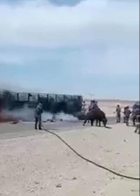 احتراق شاحنة محملة بالعجول بالعقبة