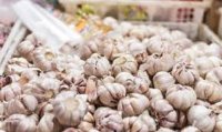 نقيب مصدري الخضار: سنقاضي ناشري فيديو اتلاف الثوم