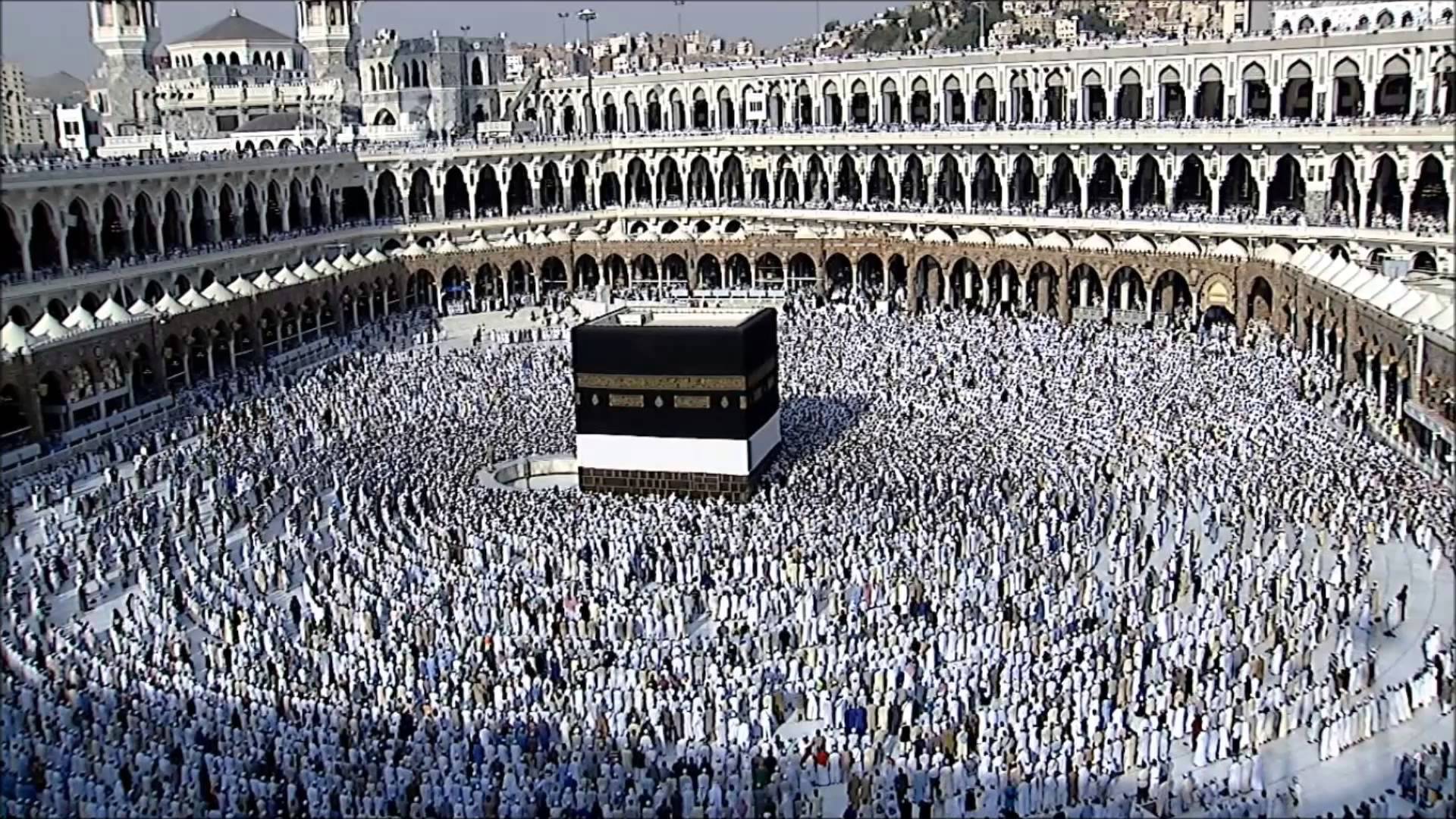 شروط جديدة للحج.. و”الأوقاف” تعلنها خلال أيام