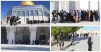 فلسطين النيابية تطالب باستدعاء السفير الإسرائيلي وتدين اقتحام الأقصى