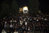45 ألف مصلِّ أدوا صلاة العشاء والتراويح في المسجد الأقصى المبارك في اليوم الخامس عشر من شهر رمضان