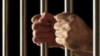 حبس موظف حكومي وصاحب مؤسسات 5 سنوات زورا 126 تصريح عمل