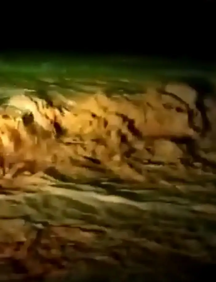 سيول جارفة شرق المفرق.. فيديو