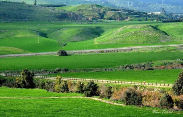 43.5 ْ .. الباقورة تسجل أعلى درجة حرارة في الأردن السبت