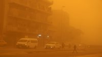 مؤقتة الفيصلي تؤكد التمسك بثوابت رئيسة تليق بمكانة النادي