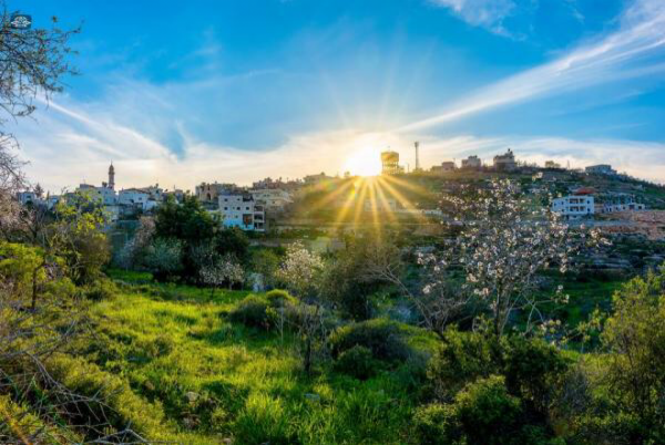 الخميس .. أجواء لطيفة ومعتدلة في أغلب المناطق