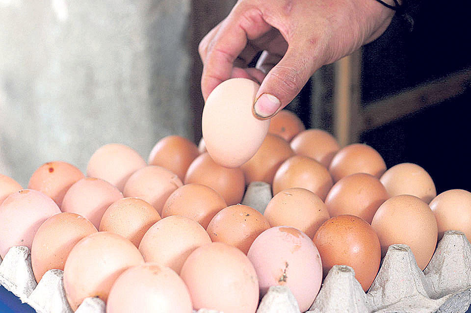 ارتفاع أسعار البيض في الأردن.. ما السبب؟