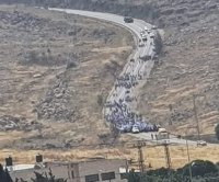 مستوطنون إرهابيون ينظمون مسيرة استفزازية جنوب نابلس