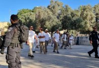 توتر في القدس .. مستوطنون يقتحمون الأقصى ودعوات لشد الرحال للمسجد (فيديو)