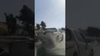 شاهد - خيول تفر باتجاه السرو بعد حريق الكمالية