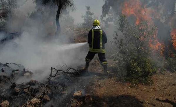 هذا ما حدث في الاردن ..  خلال 24 ساعة