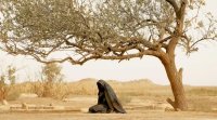 السلطات البريطانية تقيل مسؤولا مسلما بعد موقفه من فيلم "سيدة الجنة"
