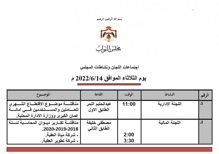 مالية النواب تواصل مناقشة تقارير ديوان المحاسبة