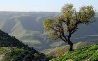 مستجدات الحالة الجوية اليوم الإثنين