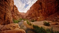  ارتفاع درجات الحرارة الاحد