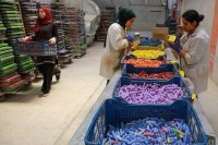 أردني يحقّق أرباحا وافرة من تصدير الطباشير الى أكثر من 100 دولة