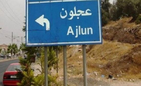 بلدية عجلون تواصل إزالة مخلفات الأضاحي