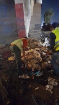 بلدية الزرقاء ترفع 2350 طن نفايات ومخلفات أضاحي