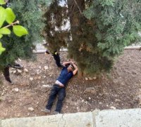 هوية منفذ عملية القدس تصدم إسرائيل