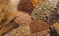 4 سفن مواد الغذائية تغادر الموانئ الأوكرانية