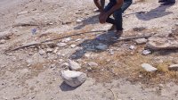 ضبط 4 اعتداءات على خطوط مياه في مناطق الشونة الجنوبية